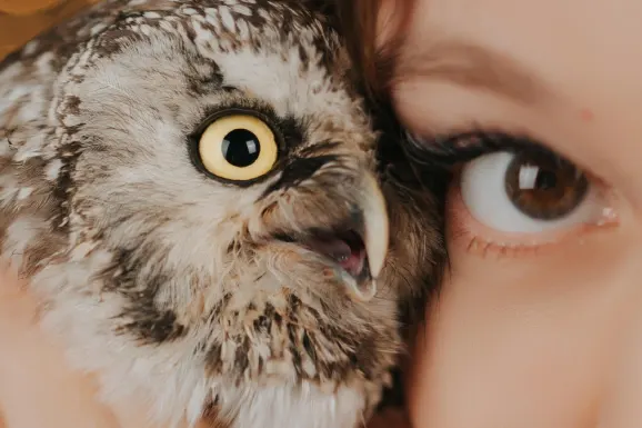 Betitall Casino Support